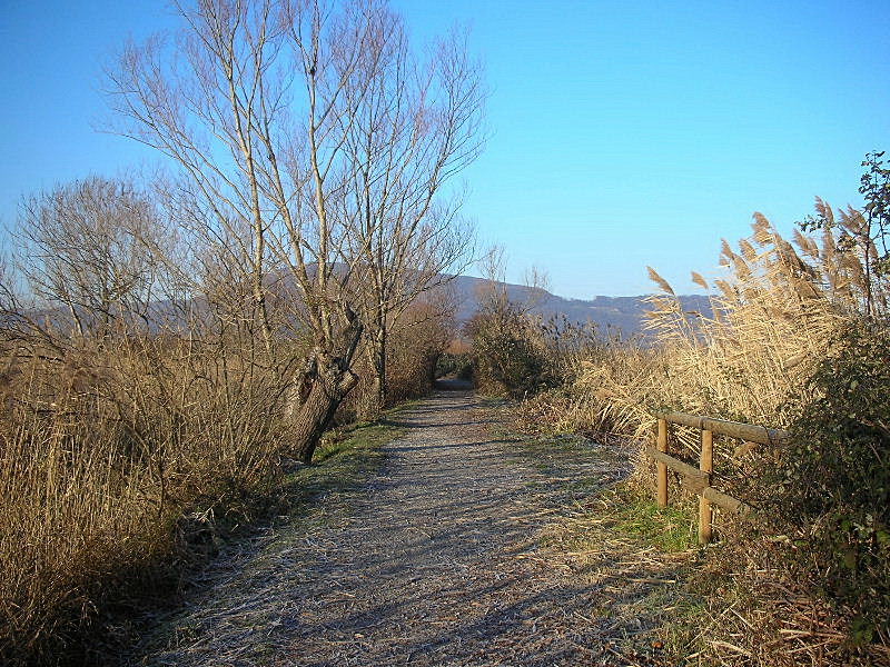 Torbiera